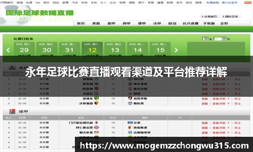 永年足球比赛直播观看渠道及平台推荐详解